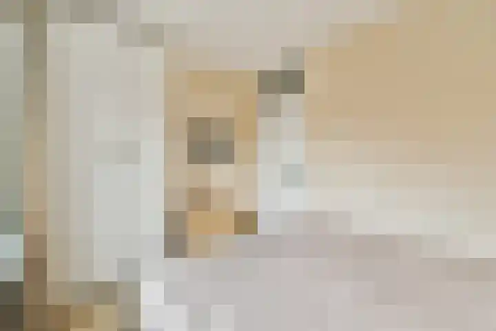 Marcantilaan 225 Amsterdam thumbnail 9