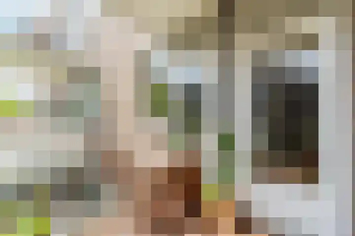 Marcantilaan 24 Amsterdam thumbnail 16