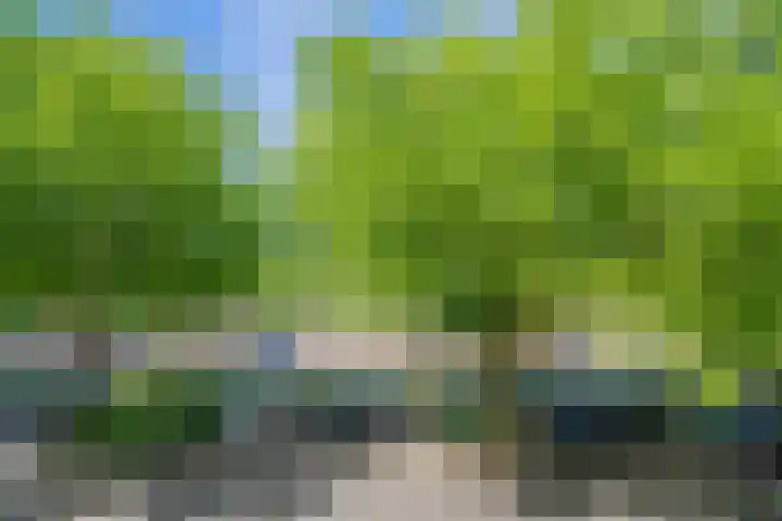 Marcantilaan 24 Amsterdam thumbnail 30