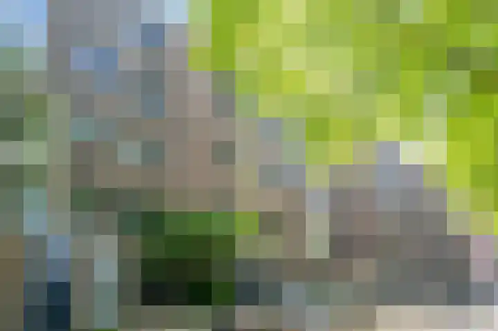 Marcantilaan 24 Amsterdam thumbnail 32