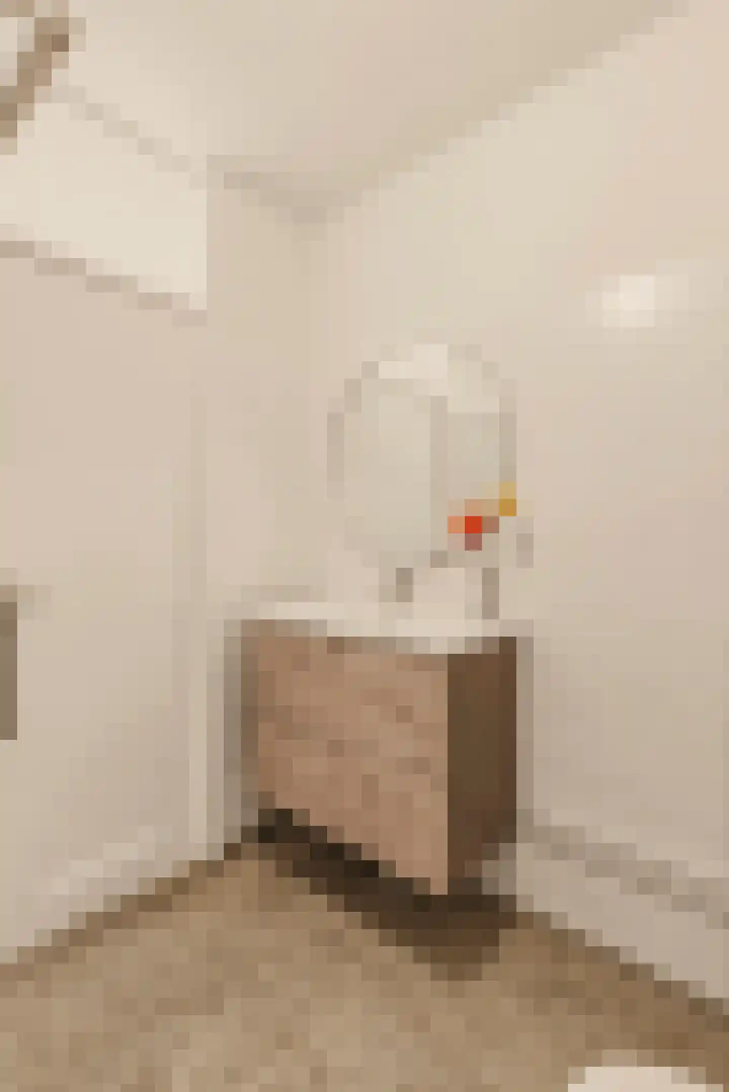 Marcantilaan 241 Amsterdam thumbnail 22
