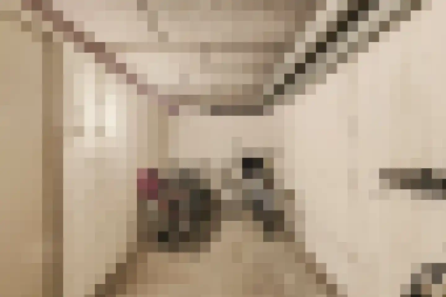 Marcantilaan 241 Amsterdam thumbnail 28