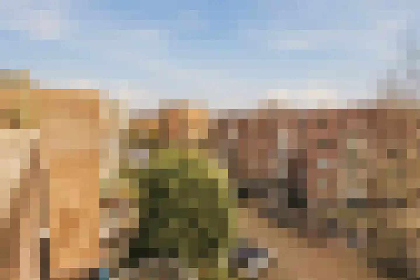 Marcantilaan 241 Amsterdam thumbnail 4