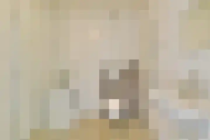 Marcantilaan 26 Amsterdam thumbnail 13