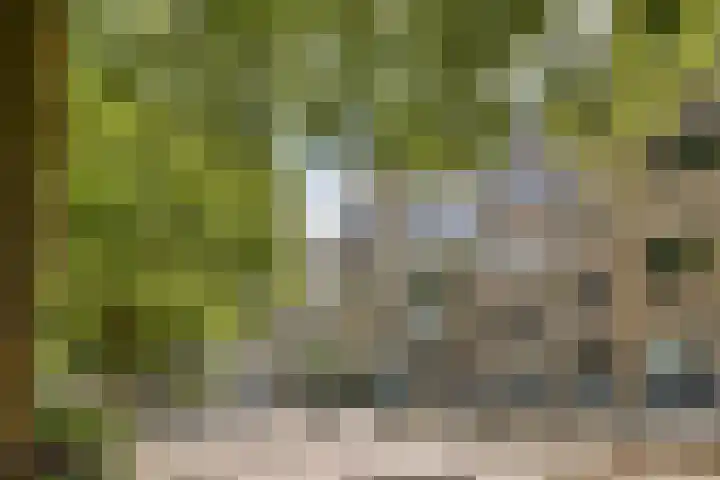 Marcantilaan 26 Amsterdam thumbnail 15