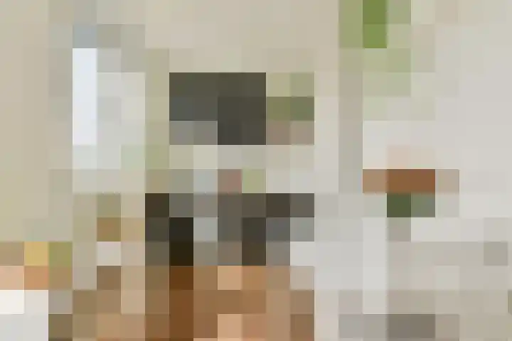 Marcantilaan 26 Amsterdam thumbnail 7