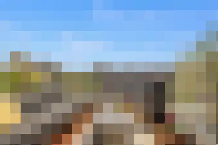 Marcantilaan 263 Amsterdam thumbnail 16