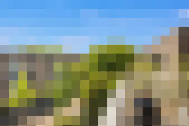 Marcantilaan 263 Amsterdam thumbnail 19