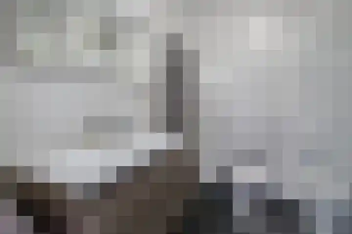 Marcantilaan 263 Amsterdam thumbnail 26