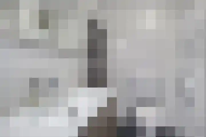 Marcantilaan 263 Amsterdam thumbnail 30