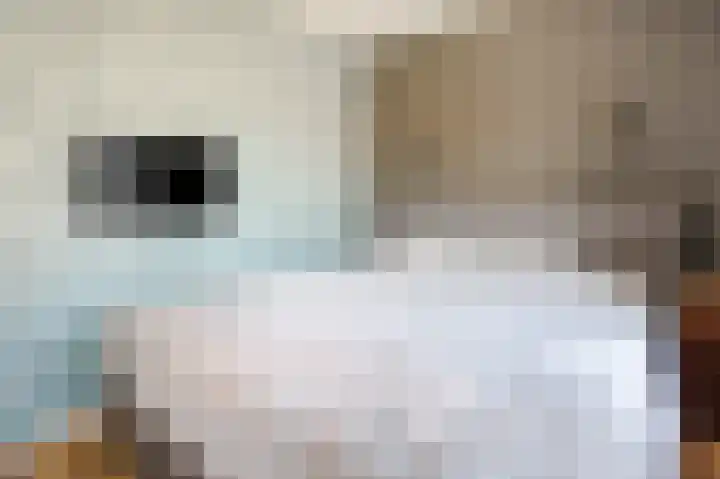 Marcantilaan 263 Amsterdam thumbnail 33