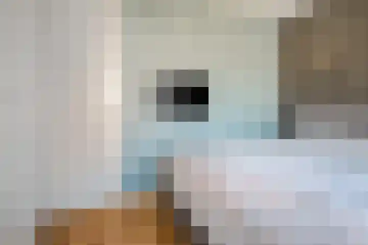 Marcantilaan 263 Amsterdam thumbnail 34
