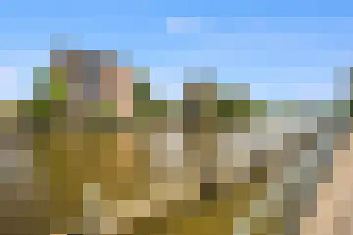 Marcantilaan 263 Amsterdam thumbnail 39