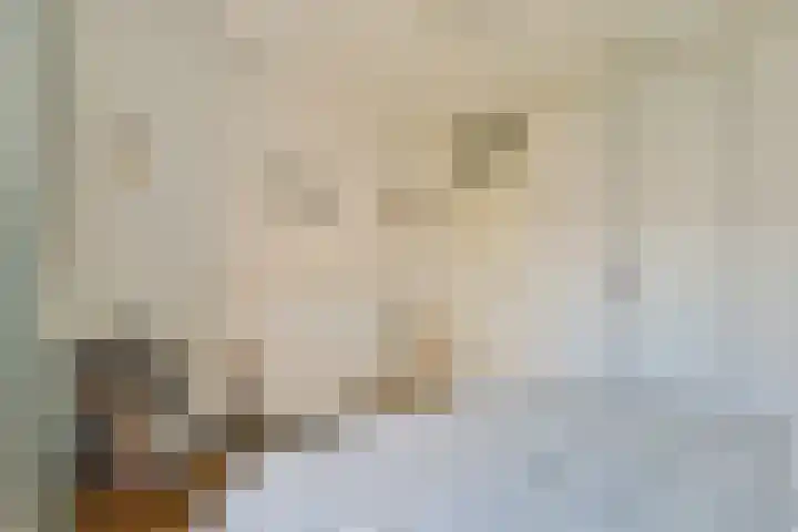 Marcantilaan 282 Amsterdam thumbnail 12