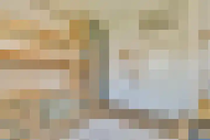 Marcantilaan 282 Amsterdam thumbnail 15