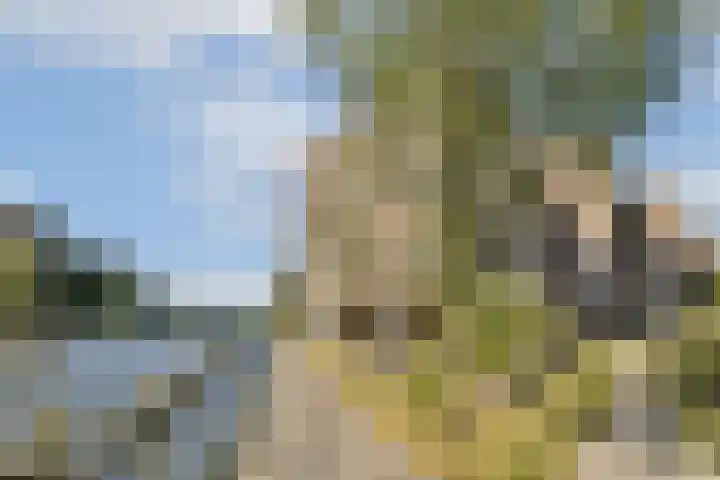 Marcantilaan 282 Amsterdam thumbnail 18