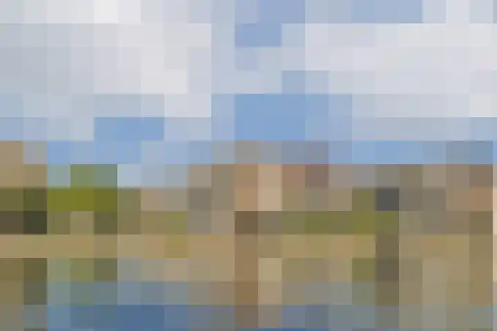 Marcantilaan 282 Amsterdam thumbnail 19