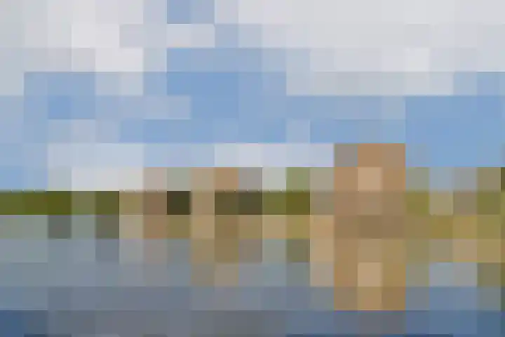 Marcantilaan 282 Amsterdam thumbnail 20