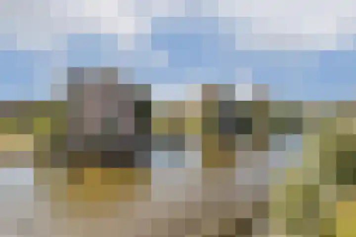 Marcantilaan 282 Amsterdam thumbnail 23