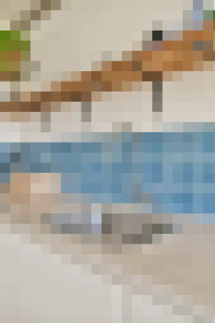 Marcantilaan 282 Amsterdam thumbnail 9