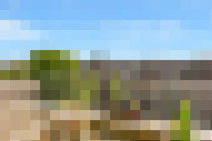 Marcantilaan 31 Amsterdam thumbnail 11