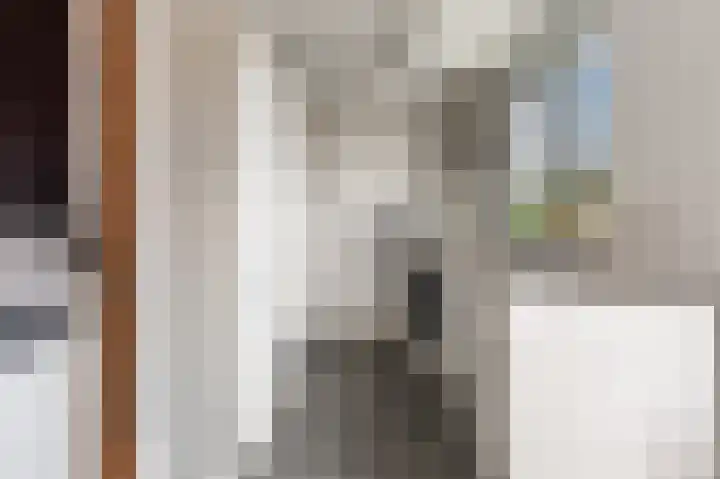 Marcantilaan 31 Amsterdam thumbnail 14