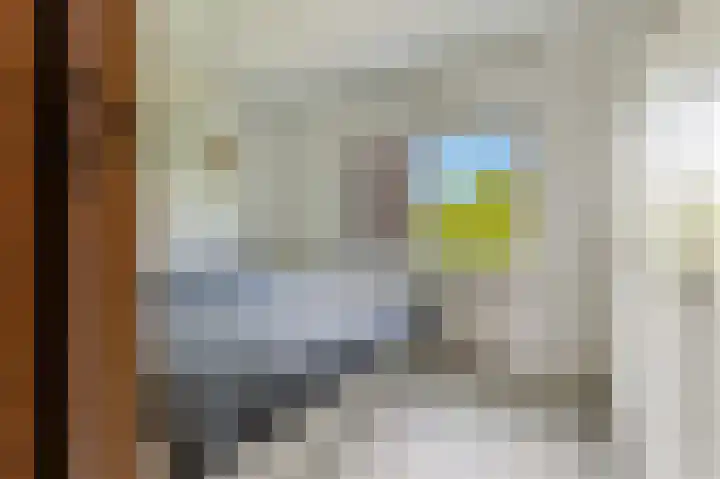 Marcantilaan 31 Amsterdam thumbnail 21