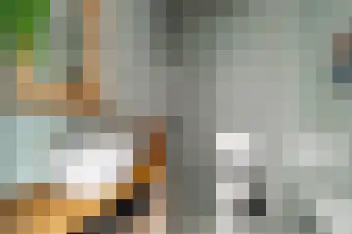 Marcantilaan 31 Amsterdam thumbnail 24