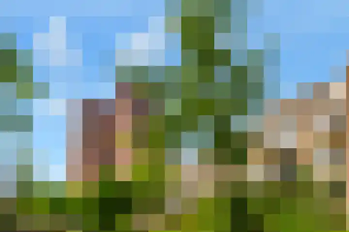 Marcantilaan 31 Amsterdam thumbnail 28