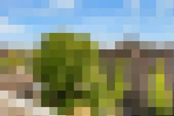 Marcantilaan 31 Amsterdam thumbnail 4