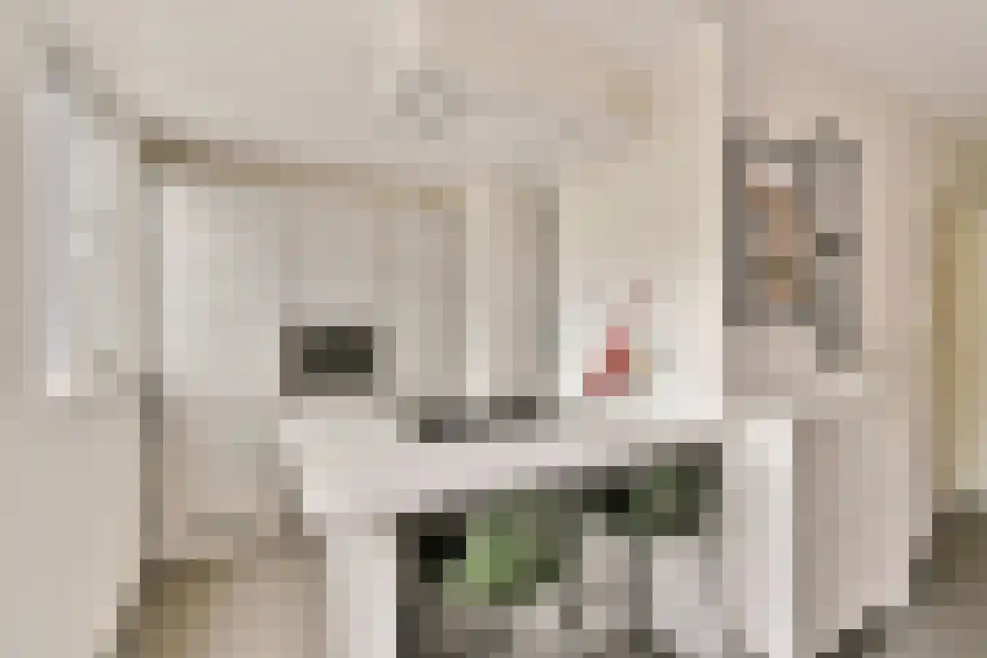 Marcantilaan 336 Amsterdam thumbnail 10