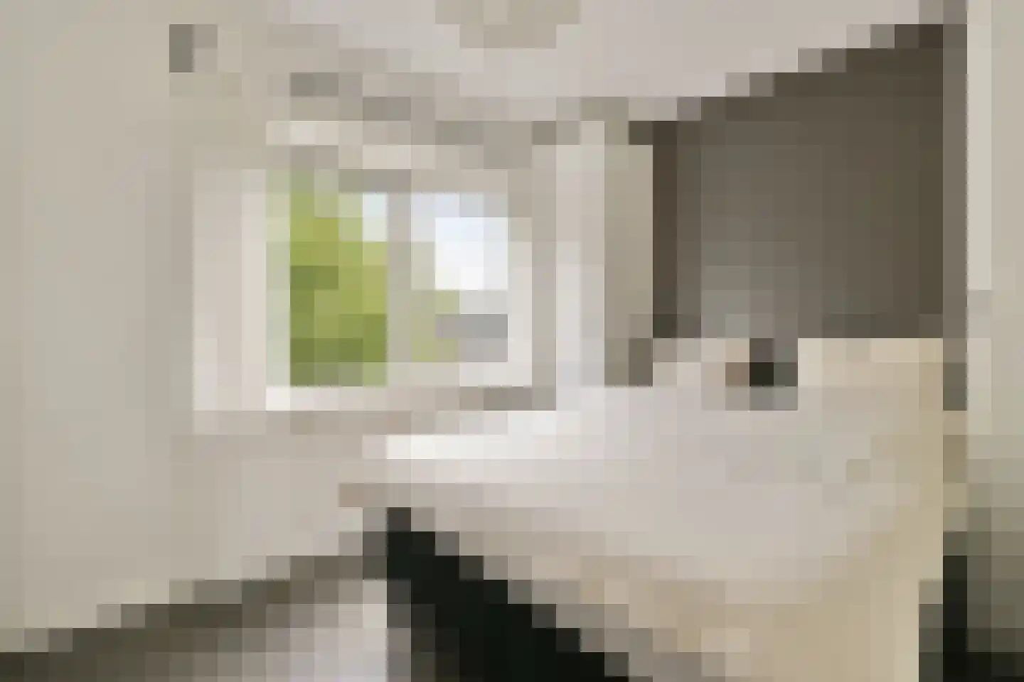 Marcantilaan 336 Amsterdam thumbnail 16