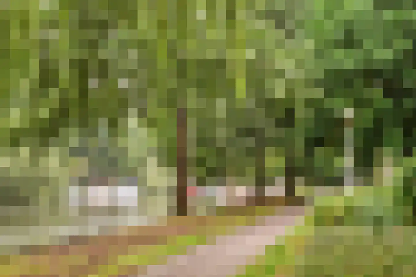 Marcantilaan 336 Amsterdam thumbnail 21