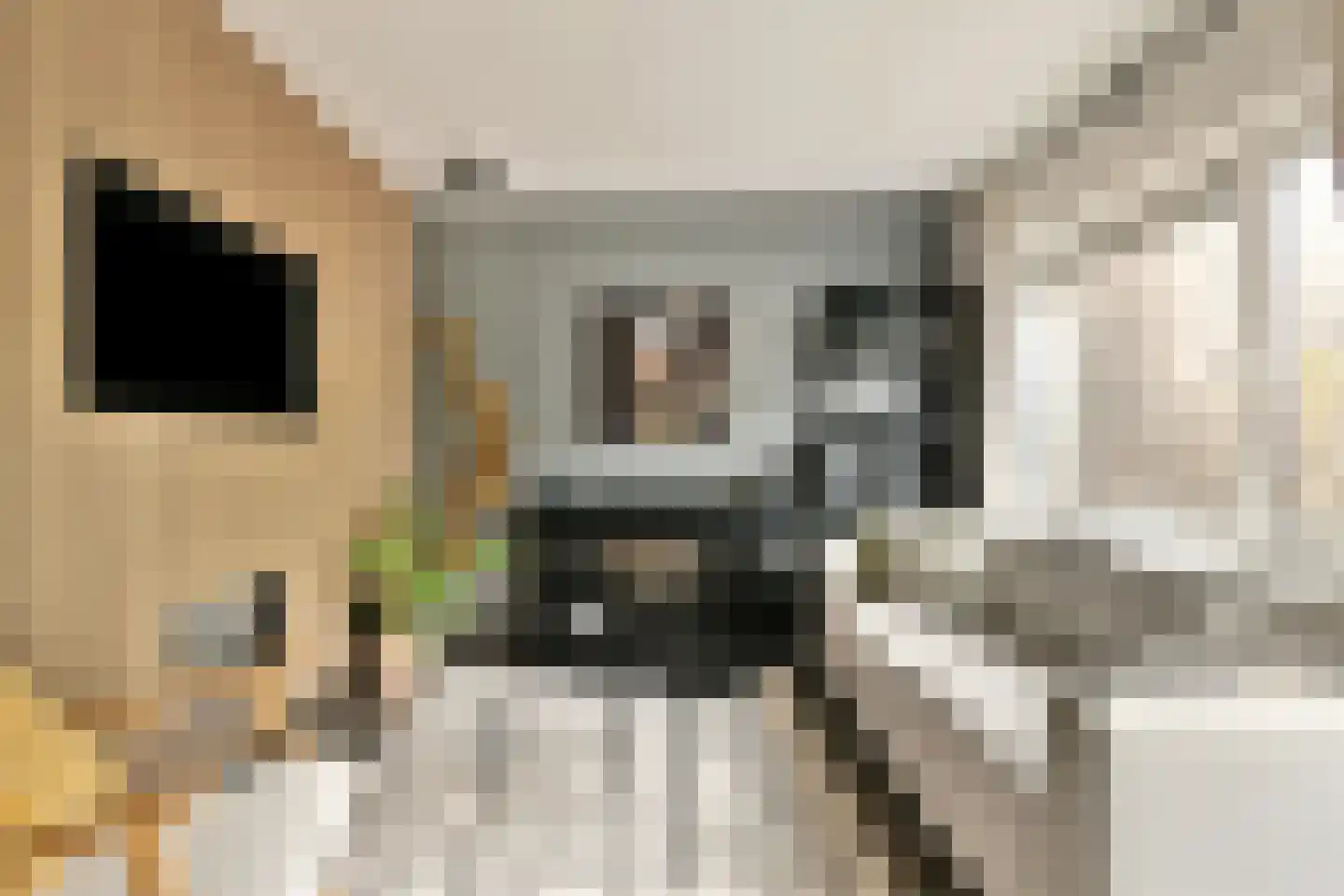 Marcantilaan 336 Amsterdam thumbnail 4
