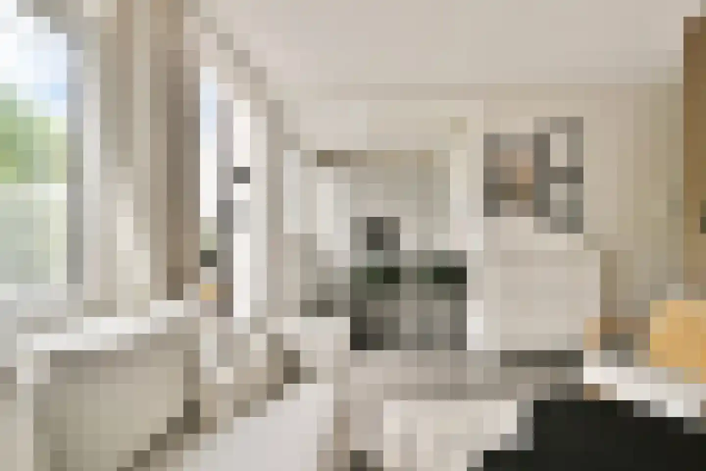 Marcantilaan 336 Amsterdam thumbnail 8