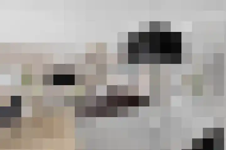 Marcantilaan 346 Amsterdam thumbnail 11