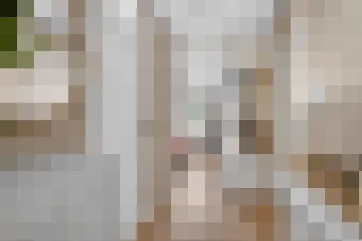 Marcantilaan 346 Amsterdam thumbnail 12