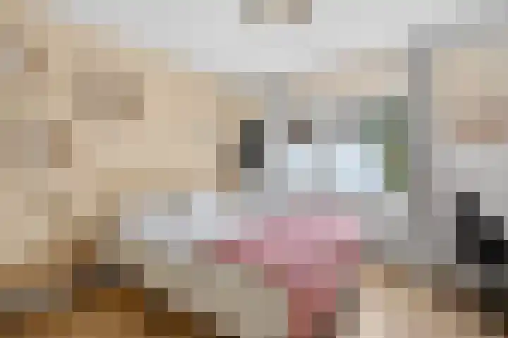 Marcantilaan 346 Amsterdam thumbnail 19