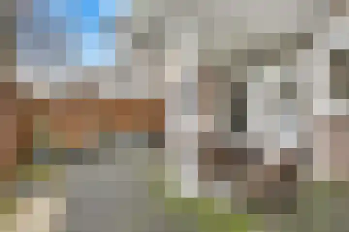 Marcantilaan 346 Amsterdam thumbnail 25