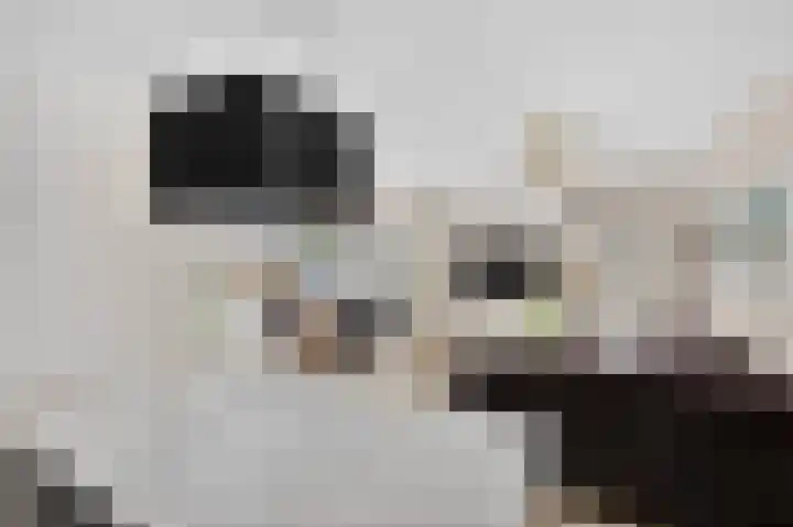 Marcantilaan 346 Amsterdam thumbnail 8
