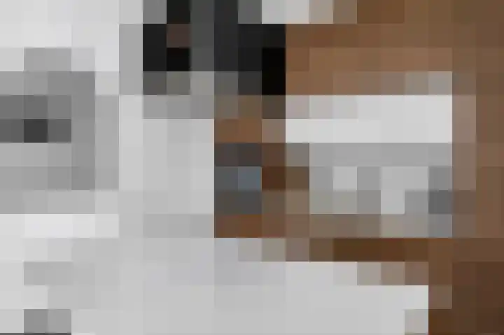 Marcantilaan 346 Amsterdam thumbnail 9