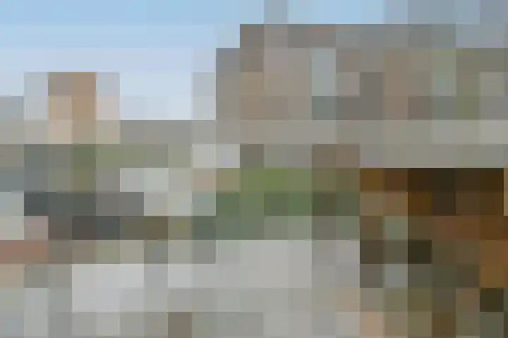Marcantilaan 349 Amsterdam thumbnail 27