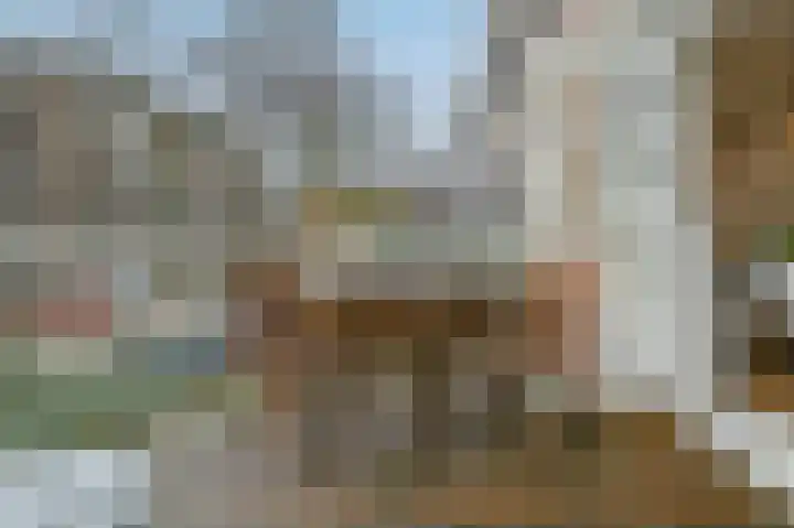 Marcantilaan 349 Amsterdam thumbnail 29