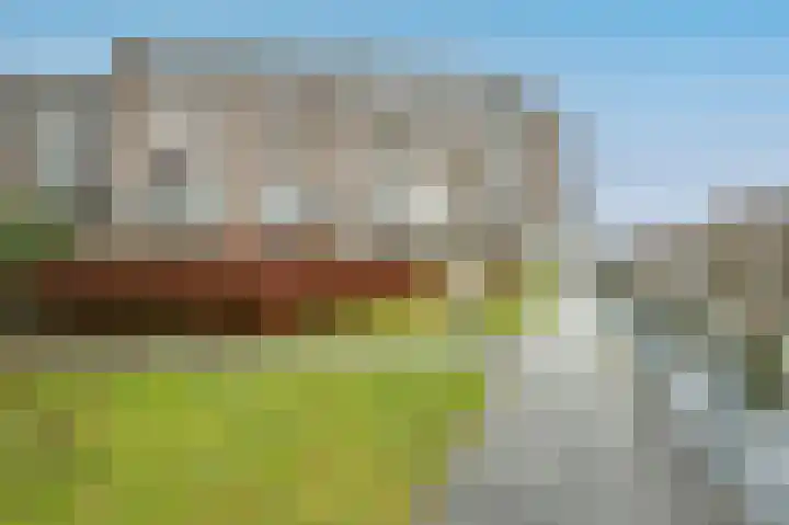 Marcantilaan 349 Amsterdam thumbnail 35