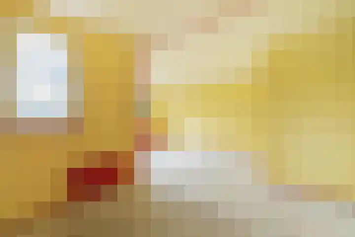 Marcantilaan 364 Amsterdam thumbnail 13