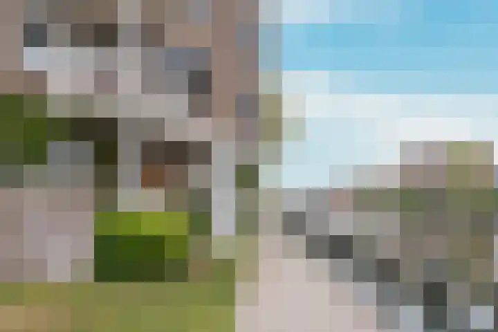 Marcantilaan 364 Amsterdam thumbnail 21