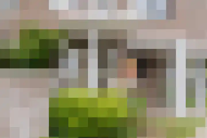 Marcantilaan 364 Amsterdam thumbnail 23