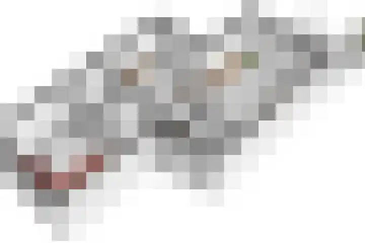 Marcantilaan 364 Amsterdam thumbnail 28