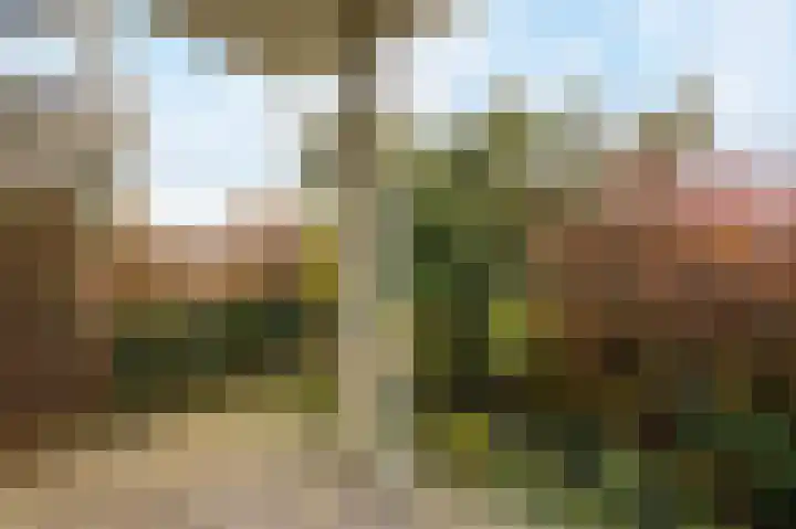 Marcantilaan 369 Amsterdam thumbnail 10
