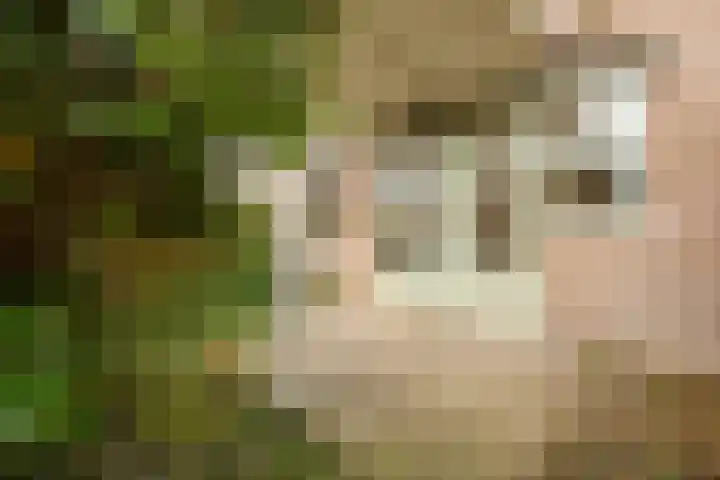 Marcantilaan 369 Amsterdam thumbnail 11